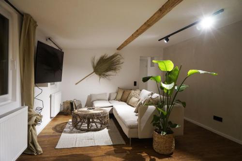 a living room with a white couch and a tv at Pfalzkind - Ein Stück Heimat im Alltag in Bad Dürkheim