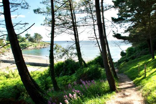 a path leading down to a beach with trees and flowers at Gîte ti Goudoul éco responsable BB friendly in Moëlan-sur-Mer