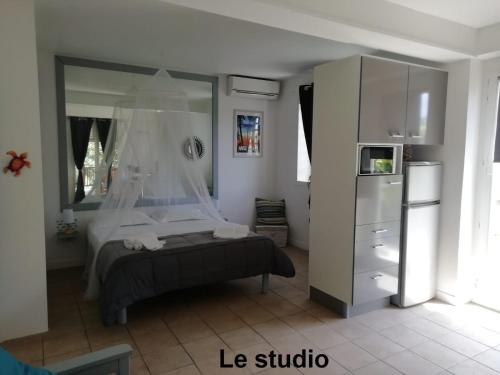 a bedroom with a bed and a large mirror at Kasa Créole in Les Trois-Îlets