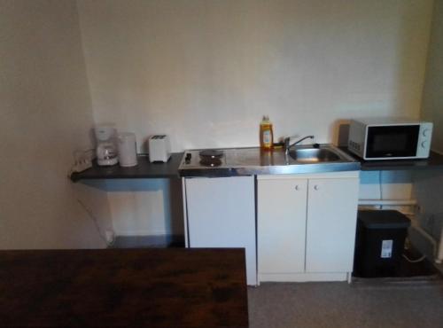 une petite cuisine avec un évier et un micro-ondes dans l'établissement Appartement tout équipé hypercentre Limoges, à Limoges