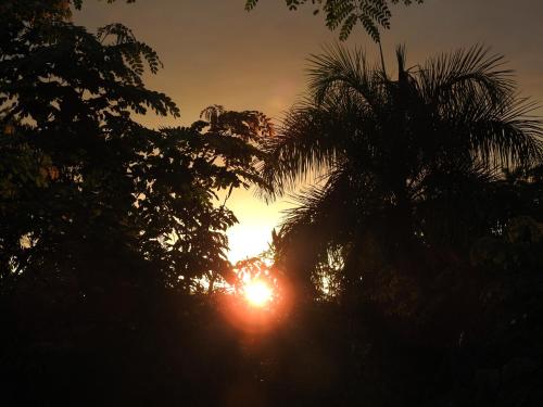 a sunset between trees with the sun shining through them at Casa del Sol -Unit B in Bayamon