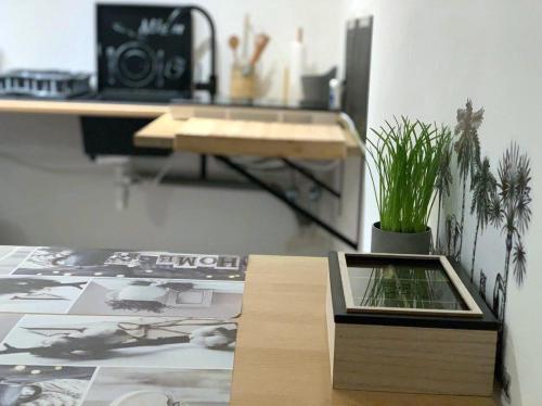 un bureau avec un bureau et une table avec une plante en pot dans l'établissement Gîte Bella-K, logement privatif en campagne à Gesves, à Gesves