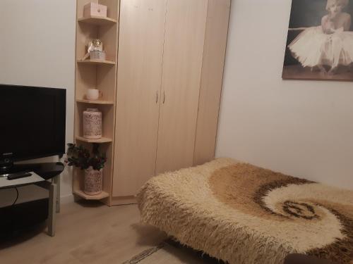um quarto com uma cama, uma televisão e um closet em Mieszkanie na mazurach 2 em Ketrzyn