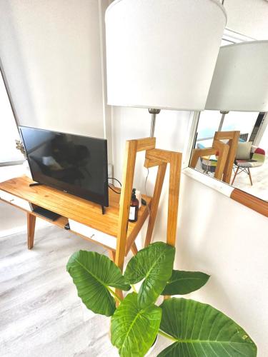 sala de estar con TV y planta en Departamento BOUTIQUE #HONOLULU- Nomade Suites -Mar del Plata en Mar del Plata