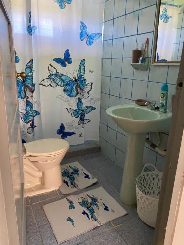 a bathroom with a toilet and butterflies on the shower curtain at AJ resort in Fontein