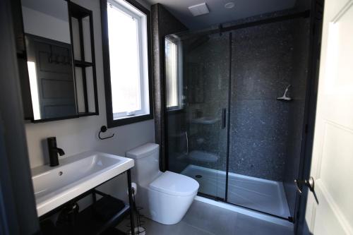 a bathroom with a shower and a toilet and a sink at Vallée bras du Nord Jumeau 2 avec spa in Saint-Raymond