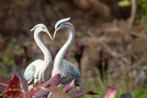 two birds standing on top of a flower at La Cantane Villa in Kundasang