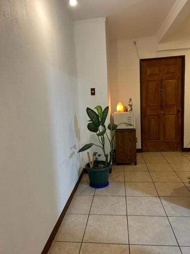 einen Flur mit einer Pflanze und einer Holztür in der Unterkunft Casa Calas in Alajuela