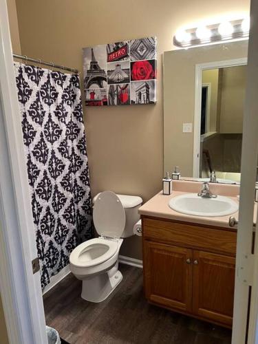 a bathroom with a toilet and a sink and a mirror at Cheerful 3 bedroom, close to downtown and arena!!! in Savannah