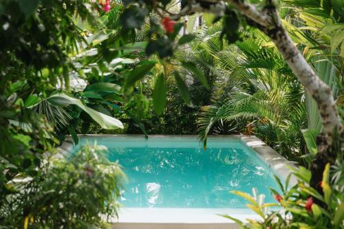 a swimming pool surrounded by trees and plants at Hygge Siargao in General Luna
