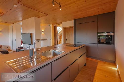 una cucina con lavandino in acciaio inossidabile e soffitti in legno di Loft Merida - Designer Apartment with Large Bathtub a Butgenbach