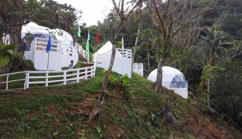 grupa namiotów na wzgórzu z drzewami w obiekcie San Miguel River Park (SMRP) Glamping 