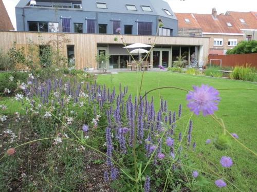 B&B Jan van Ghent – Photos 3
