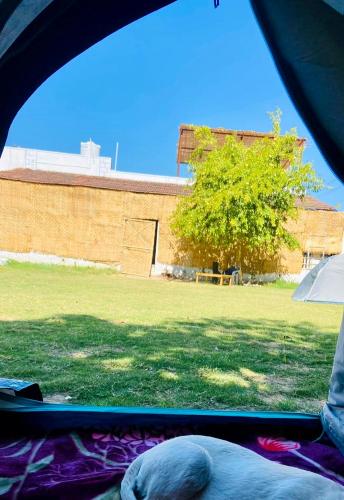 Lazy Staytion Hostel Pushkar – Photos 4