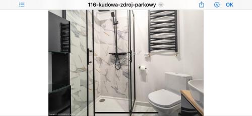 a bathroom with a shower and a toilet at Parkowy Kudowa in Kudowa-Zdrój