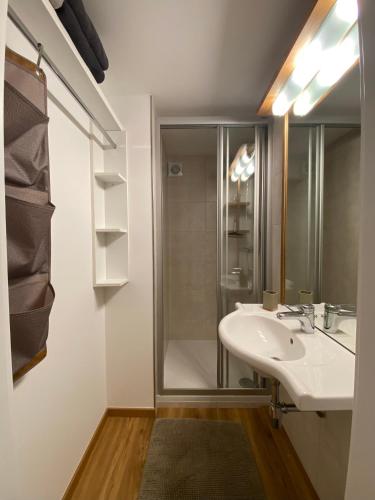 a bathroom with a sink and a shower at Ferienwohnung Lechner Traudi Kreuzschied 141 in Neukirchen am Großvenediger