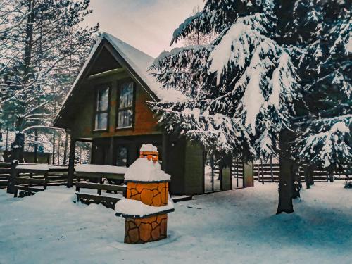 a fire hydrant covered in snow in front of a house at Ostoja Stacze in Stacze