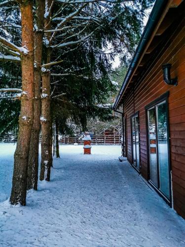 a snow covered yard next to a building with trees at Ostoja Stacze in Stacze
