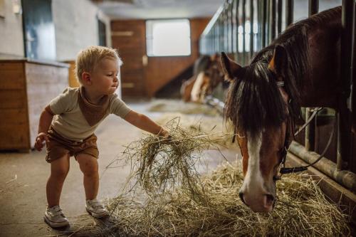 a young boy is feeding a horse hay at Landhotel Lerch Plankenau in Sankt Johann im Pongau