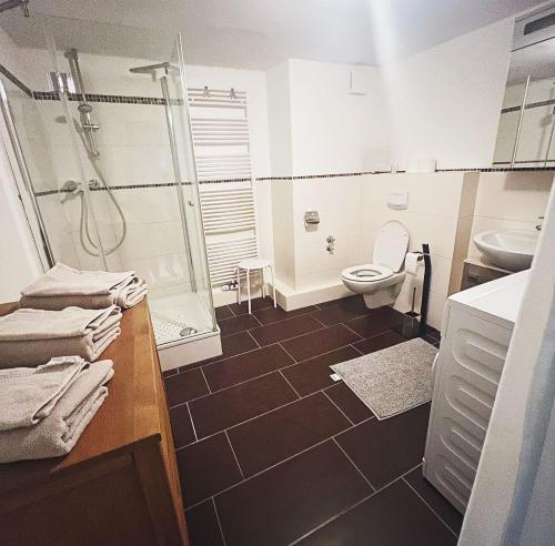 a bathroom with a shower and a toilet and a sink at Elvis Family Dream in Lübeck