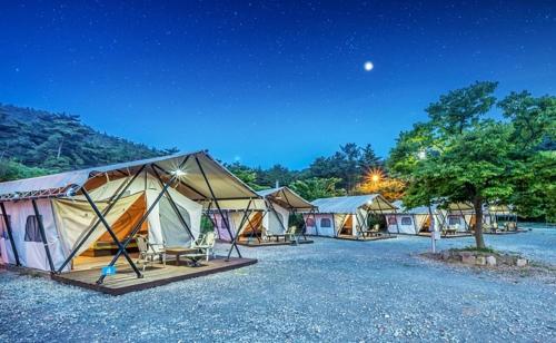 a group of tents in a field at night at Club Lespia in Taean in Taean