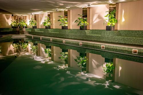 a swimming pool with plants in a building at Hermanns Hotel & Spa Sibiu in Sibiu