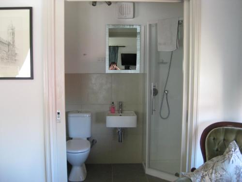 uma casa de banho com um WC, um lavatório e um chuveiro em Three Chimneys Bed and Breakfast Boutique Guest House em Albany