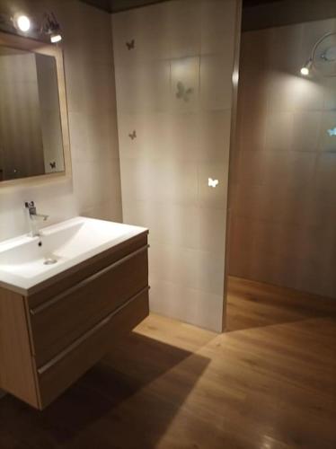 une salle de bain avec un lavabo et une douche avec un miroir dans l'établissement Appartement avec vue sur la montagne, à Vico