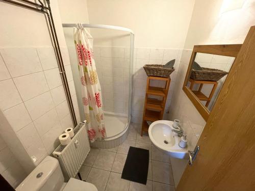 a bathroom with a shower and a toilet and a sink at Byt v Kačení ulici in Olomouc