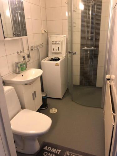 La petite salle de bains est pourvue de toilettes et d'un lavabo. dans l'établissement Apartment Vanhatie 44, à Pyhäjoki
