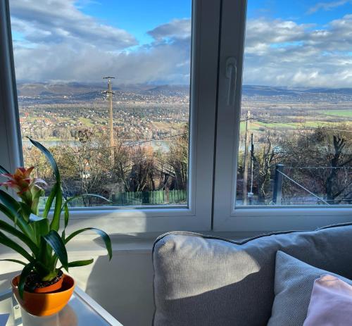 a living room with a window and a plant on a table at Csudahely - WonderPlace in Dunabogdány
