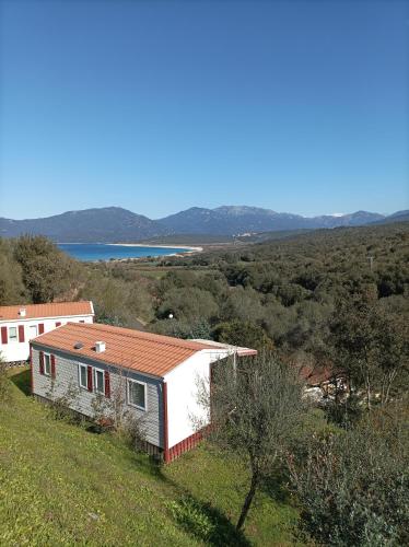 MIRA MONTI