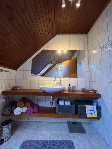 łazienka z umywalką i lustrem w obiekcie Cozzy apartment in nature w Zagrzebiu