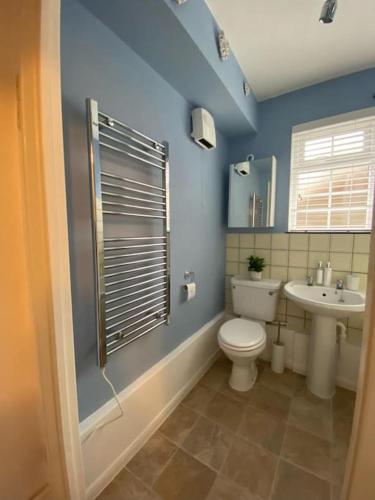 a bathroom with a toilet and a sink at Eremue Court Hideaway Yarmouth IOW in Yarmouth