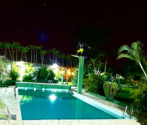 a swimming pool at night with a sunflower on a pole at POUSADA ARKAN BEACH in Saquarema