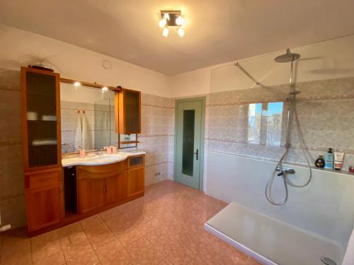 a bathroom with a shower and a sink and a tub at Residence delle Rose in Barolo