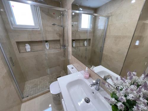 a bathroom with a sink and a shower and a toilet at Apartamento Arquillo de la Plata in Seville