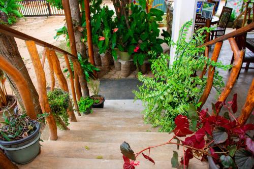 a bunch of plants and flowers on a patio at Turtle Paradise in Tangalle