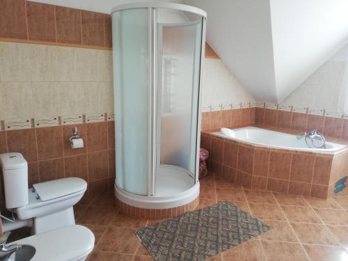 a bathroom with a shower and a toilet and a tub at Wieża nad Biebrzą in Dolistowo