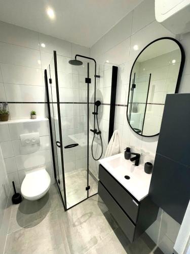 a bathroom with a shower and a toilet and a sink at Kupinica Apartment in Vinišće