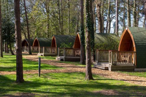 a group of lodges in a park with trees at Pinewood - At Port Lympne Reserve in Hythe