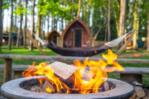 a fire pit with a hammock in the background at Pinewood - At Port Lympne Reserve in Hythe