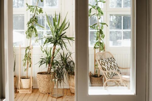 a room with potted plants and a chair at Boutique Hotel Villa Klubiranta in Halli