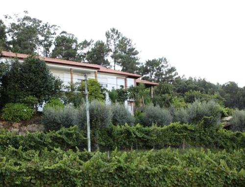 Jardin de l'établissement Quintinha d´Amélia