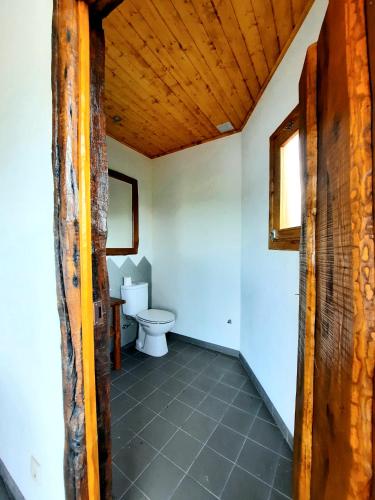a bathroom with a toilet and a wooden ceiling at Quintinha d´Amélia in Celorico de Basto