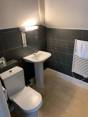 uma casa de banho com um WC branco e um lavatório. em Gracellie Hotel em Shanklin