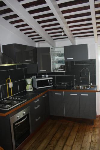 cocina con armarios negros, fregadero y fogones en LOFT ET VERDURE en Fort-de-France