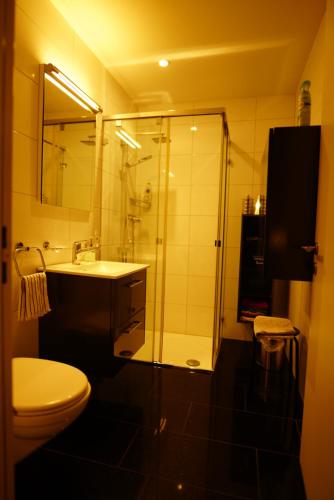 a bathroom with a shower and a sink and a toilet at Esther's Homestay - Big Room - 26 Square Meters in Horgen