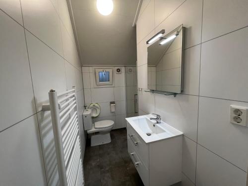 een badkamer met een toilet, een wastafel en een spiegel bij Holiday Home Maridu Forest in Arnhem