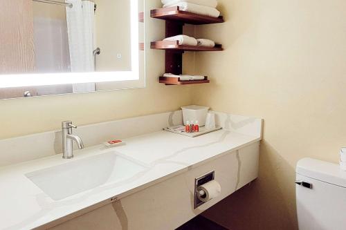 een badkamer met een wastafel en een spiegel bij Econo Lodge in Fargo